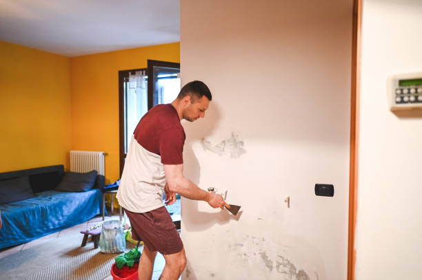 Trusted Corning, NY Mold Removal Experts